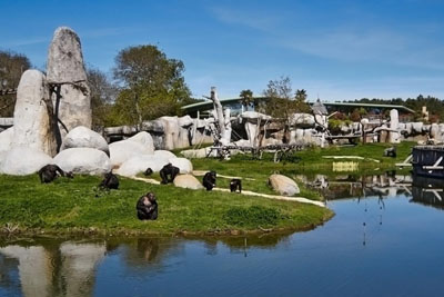 zoo de la Palmyre